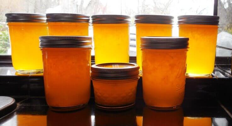 Meyer Lemon Marmalade Recipe in jars on counter.