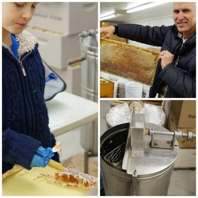 A collage of photos how to harvesting honey from the processing plant.