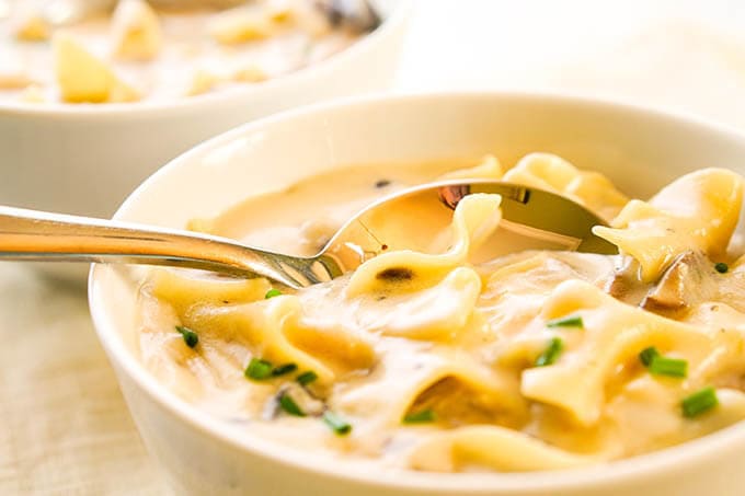 Cream Chicken Tetrazzini Stew Recipe in white bowl with spoon