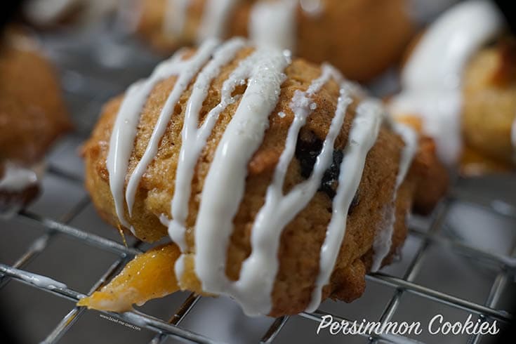 Persimmon Cookie Recipe - drizzled with white chocolate topped with iridescent sprinkles!