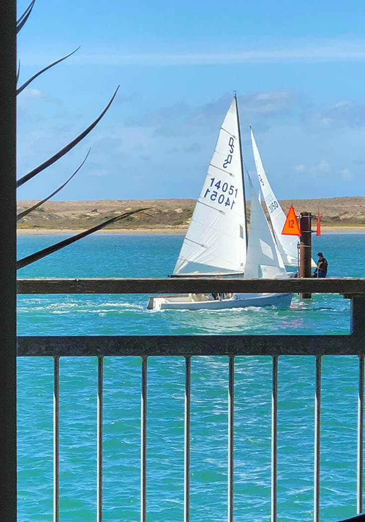 An exciting view of a sailboat race with the brightest blue water!