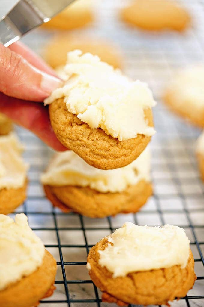 Close up of Butterscotch cookie.