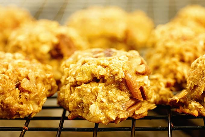 Rows of chewy oatmeal cookies on a cooling sheet.