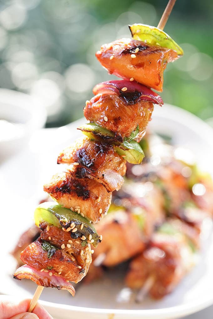 Grilled Teriyaki Chicken Skewers - The Country Cook