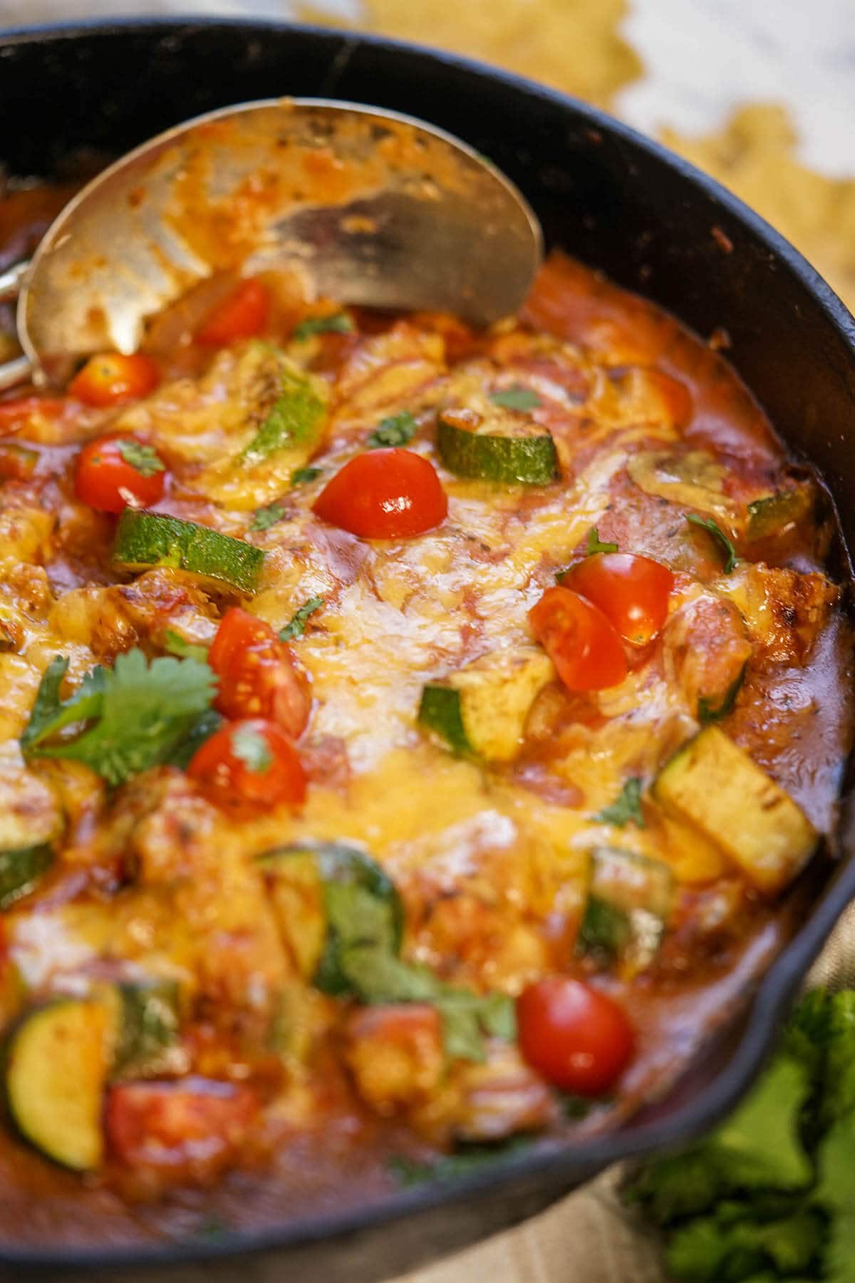 Cast Iron skillet chicken casserole