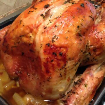 Roast Turkey with golden skin in pan.