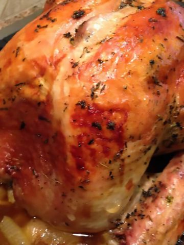 Roast Turkey with golden skin in pan.