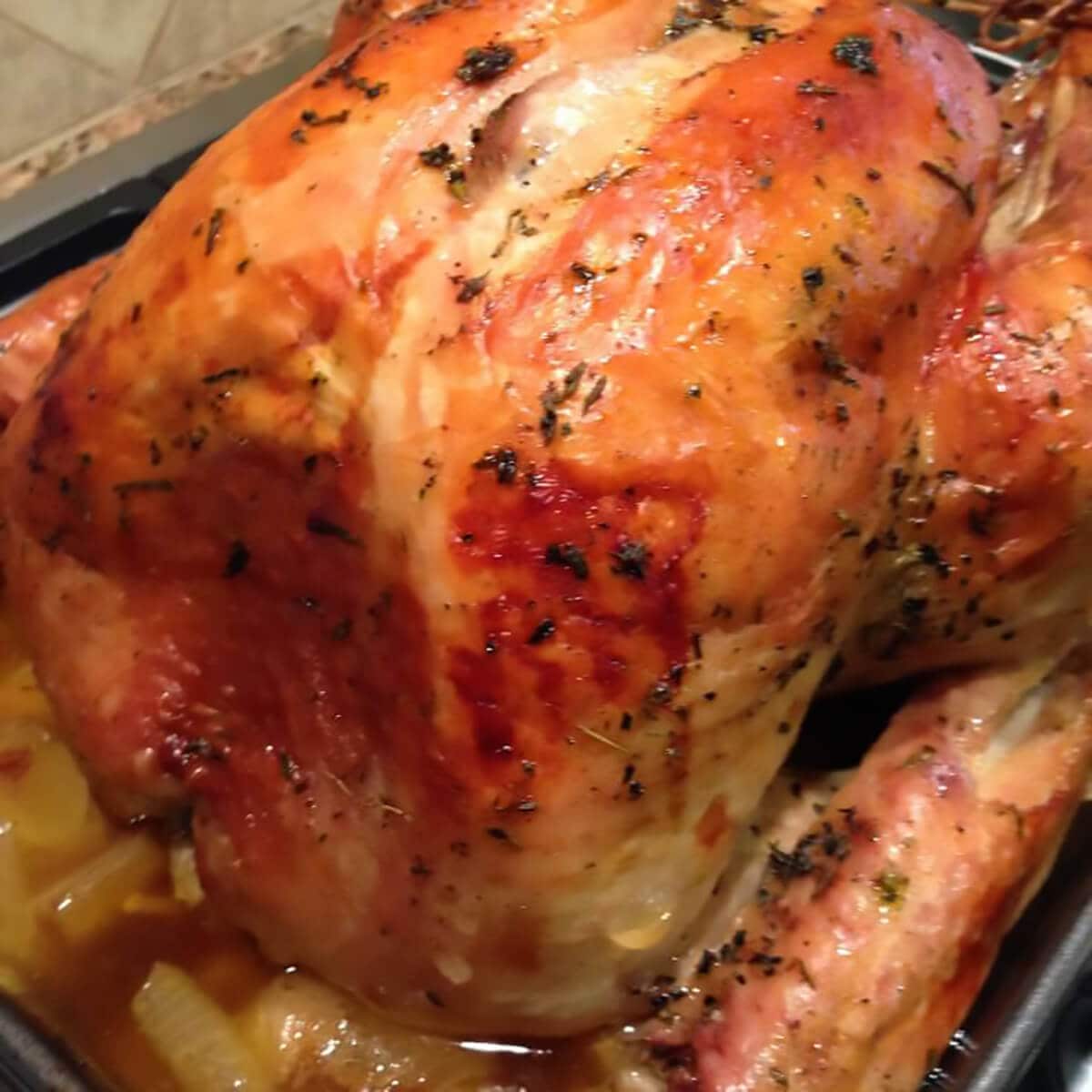 Woman Measuring Temperature of Whole Roasted Turkey with Meat