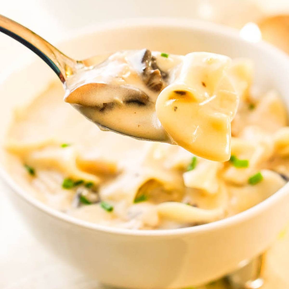 Chicken Tetrazzini Soup in white bowl with spoon.