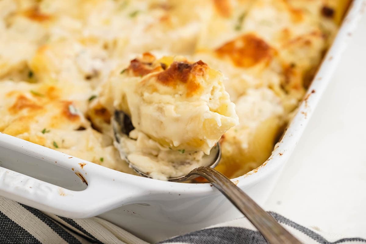 Casserole dish filled with Chicken Alfredo Stuffed Shells with serving spoon dishing out a serving.