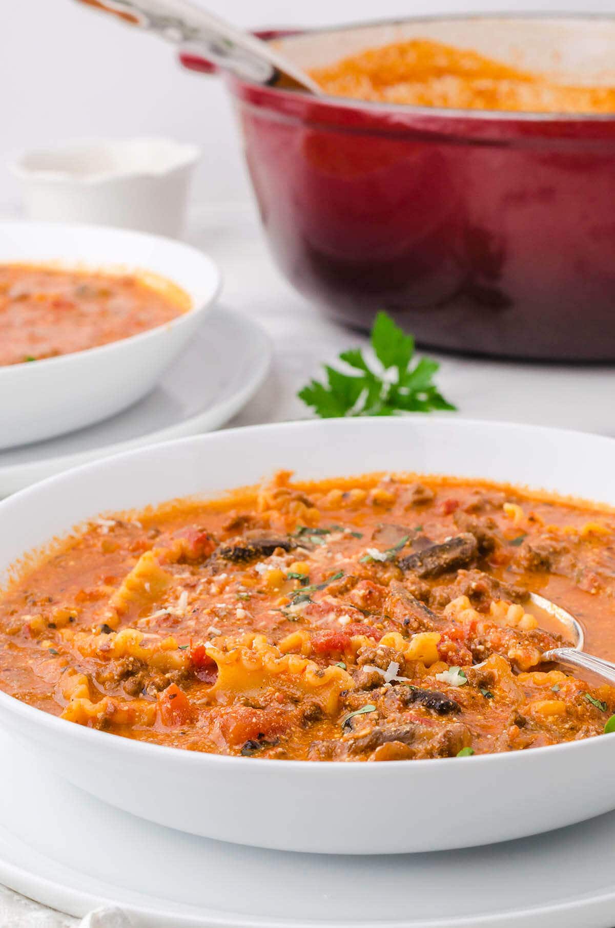 Soup pot and bowl filled with lasagna soup.