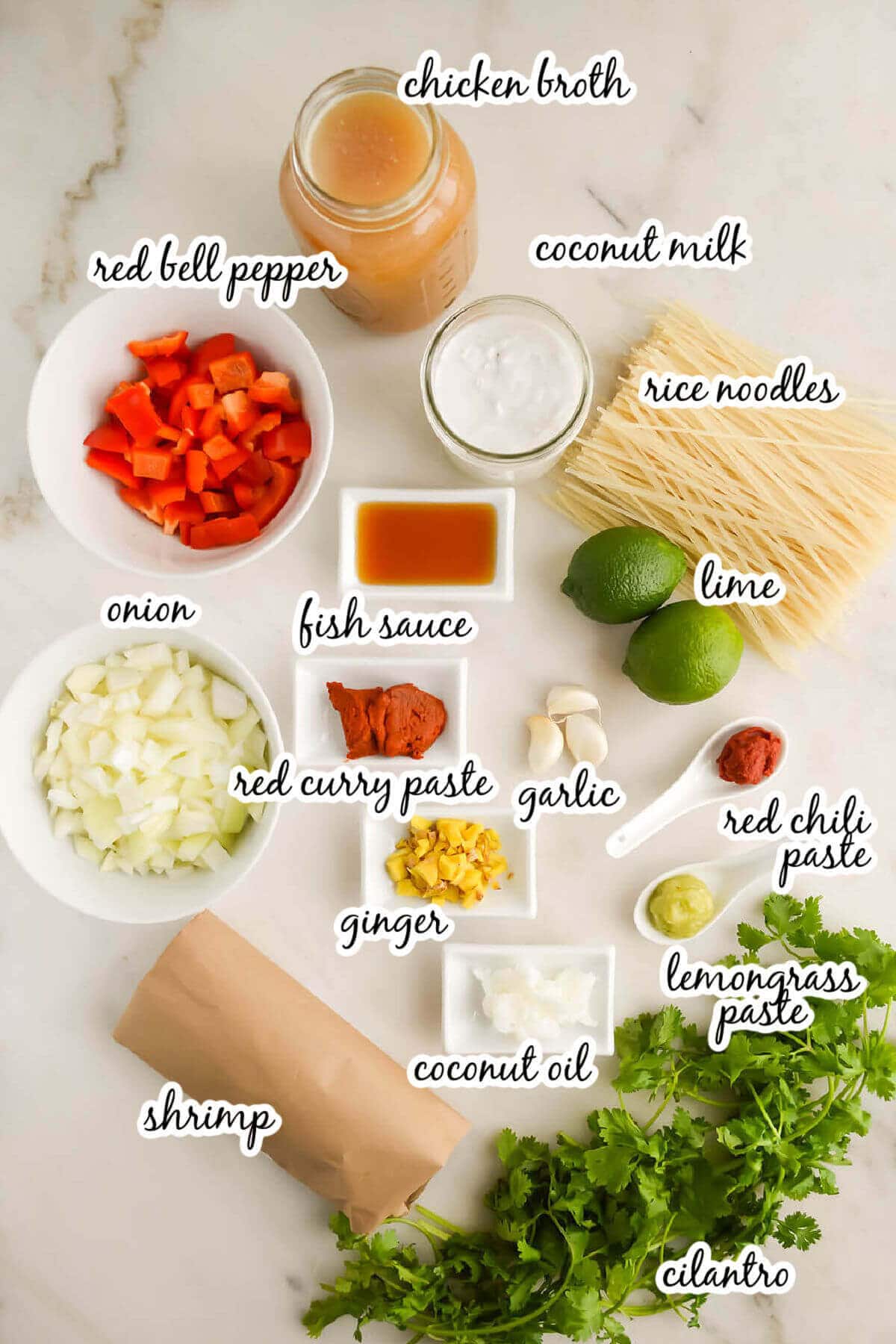 Ingredients for Thai red curry noodle soup, with print overlay. 