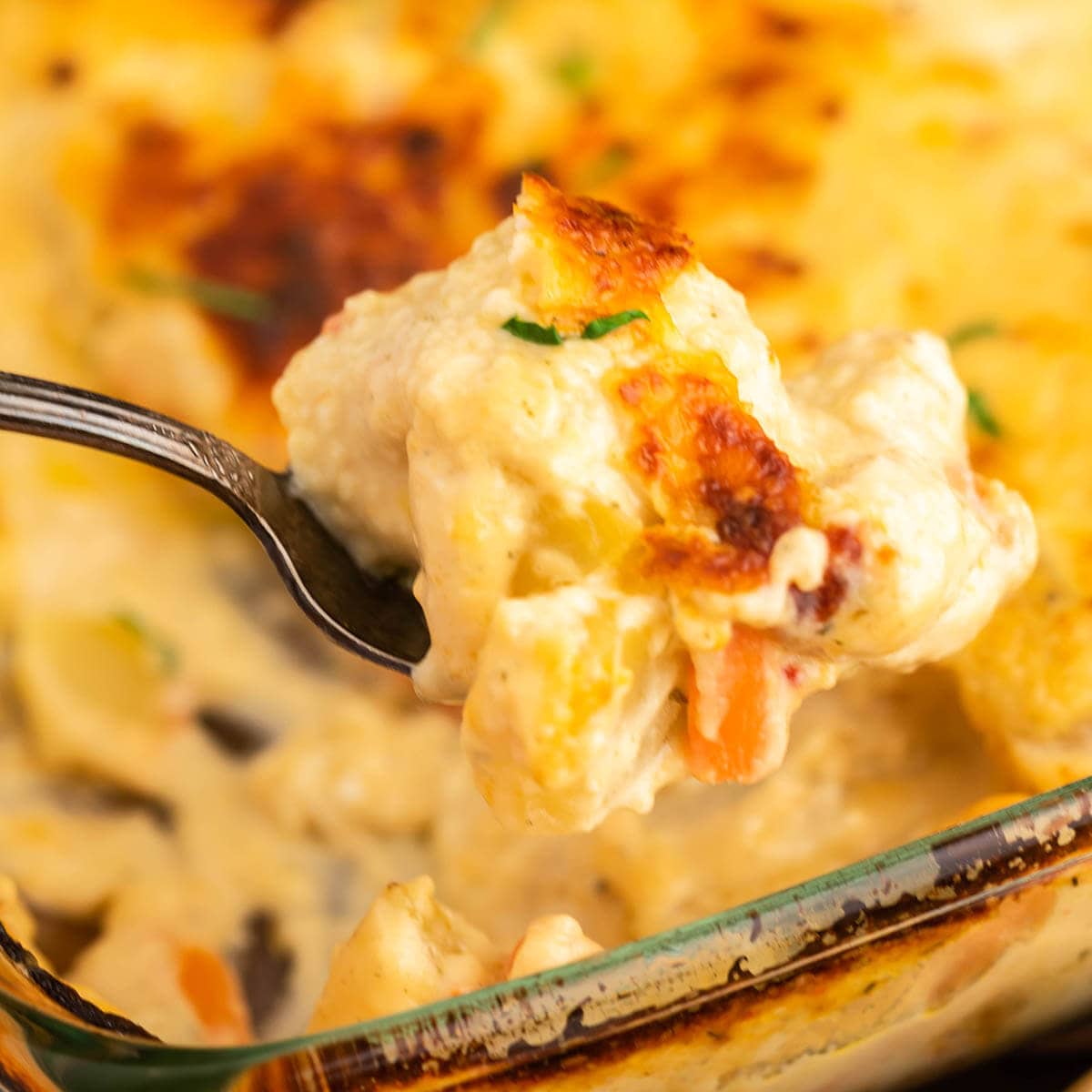 Spoon dishing up Creamy Chicken and potato bake recipe. Casserole dish in is the background. 