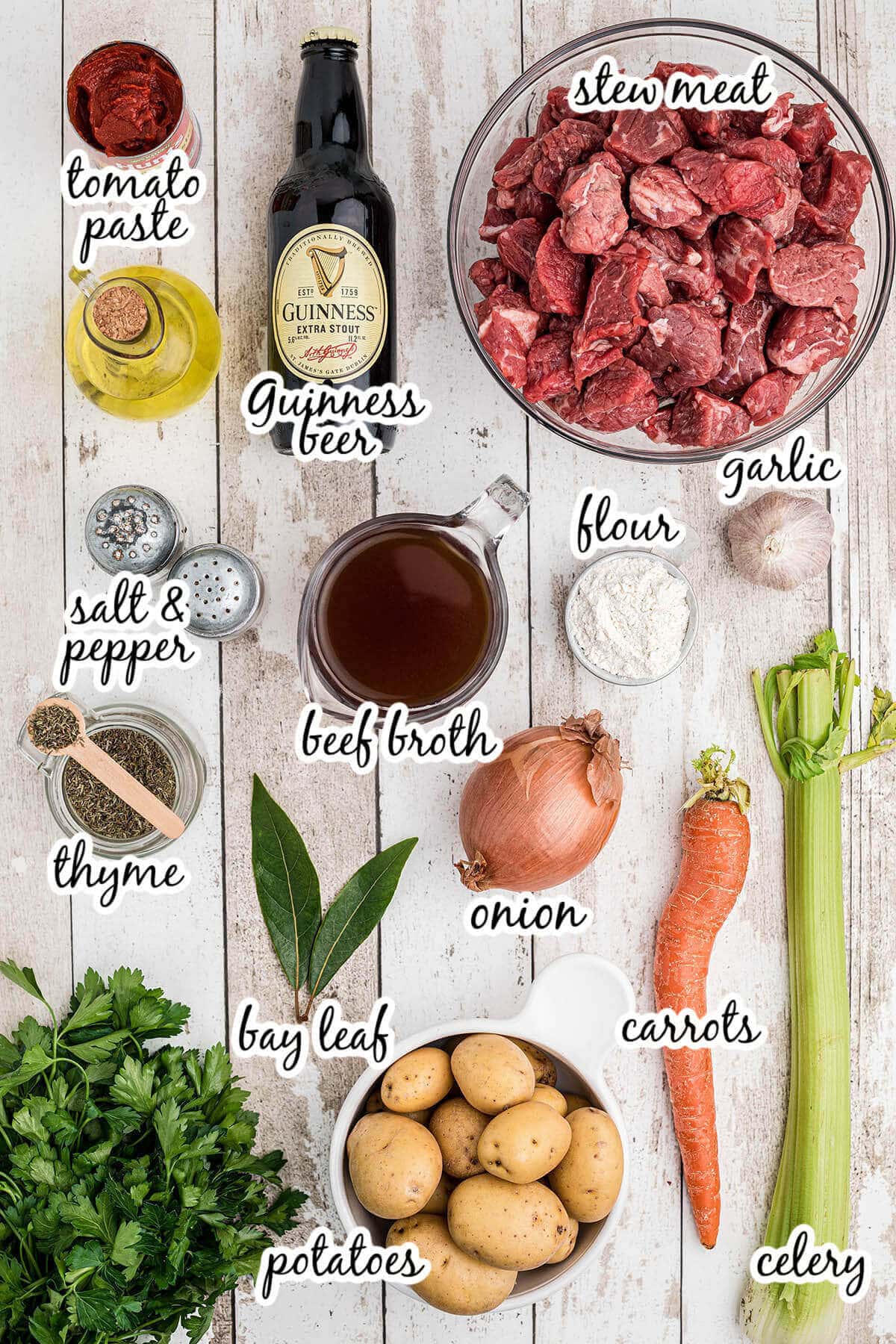 All of the ingredients needed to make the soup recipe. With print overlay.