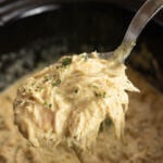 Crock pot shredded chicken with serving spoon.