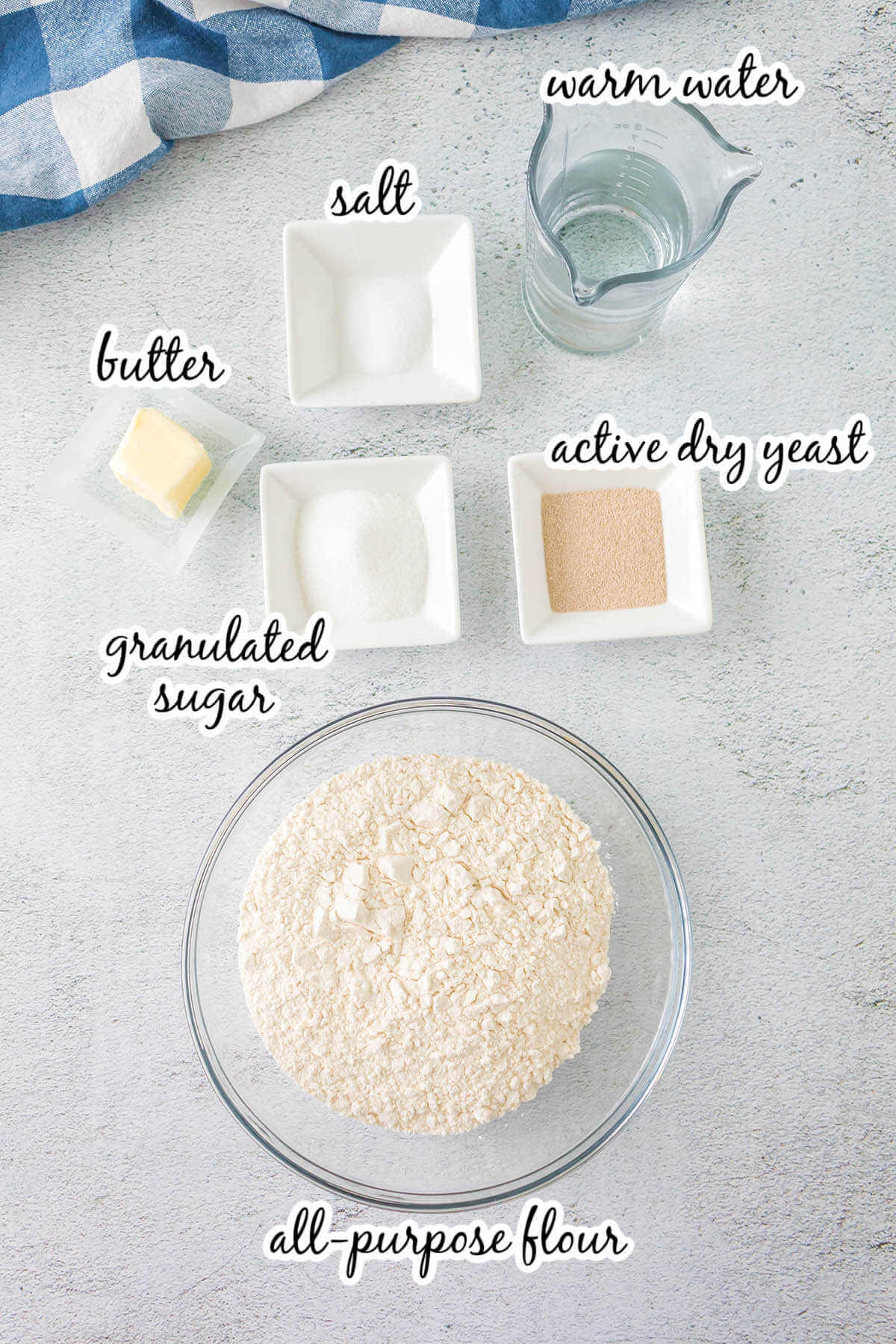 Ingredients needed to make the Easy Yeast Rolls for Beginners. With print overlay. 