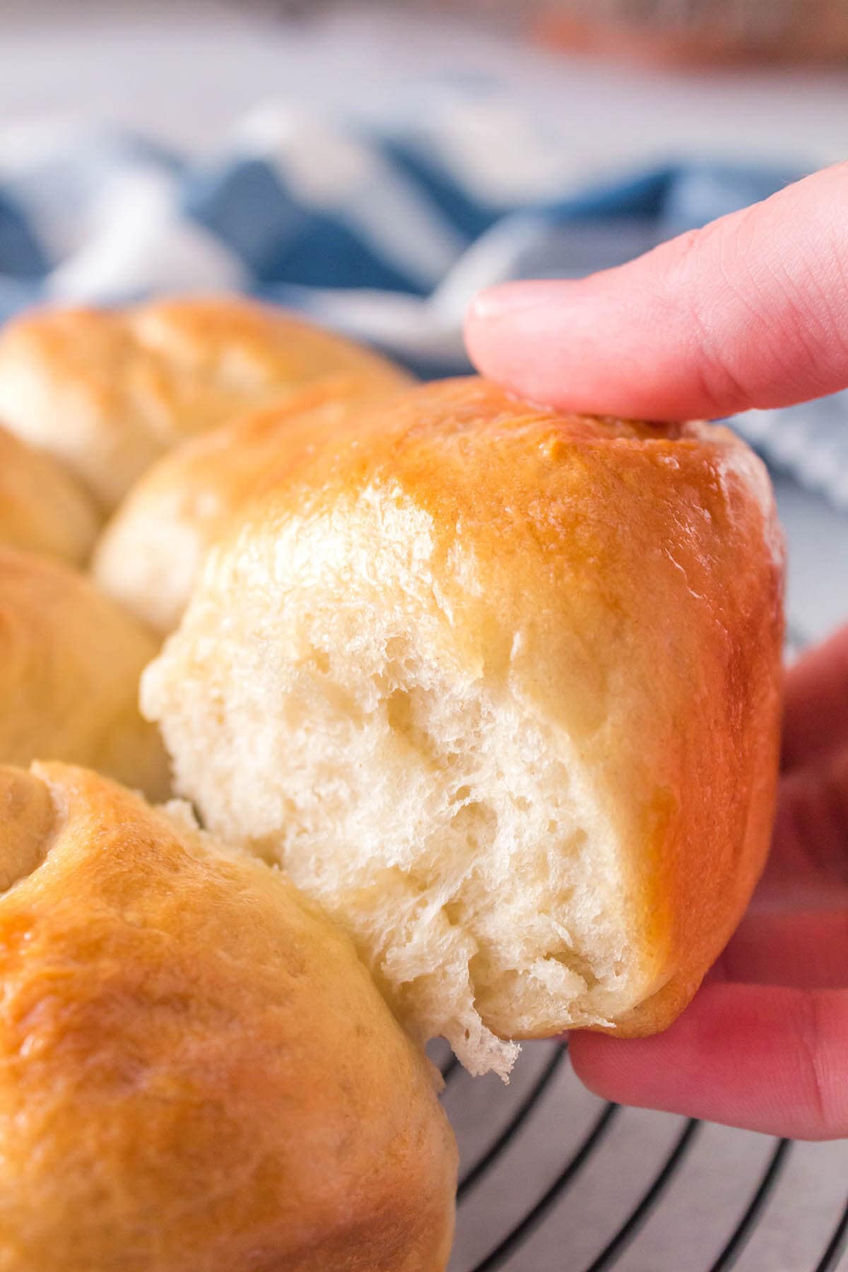 Easy Homemade Dinner Rolls - Just a Taste