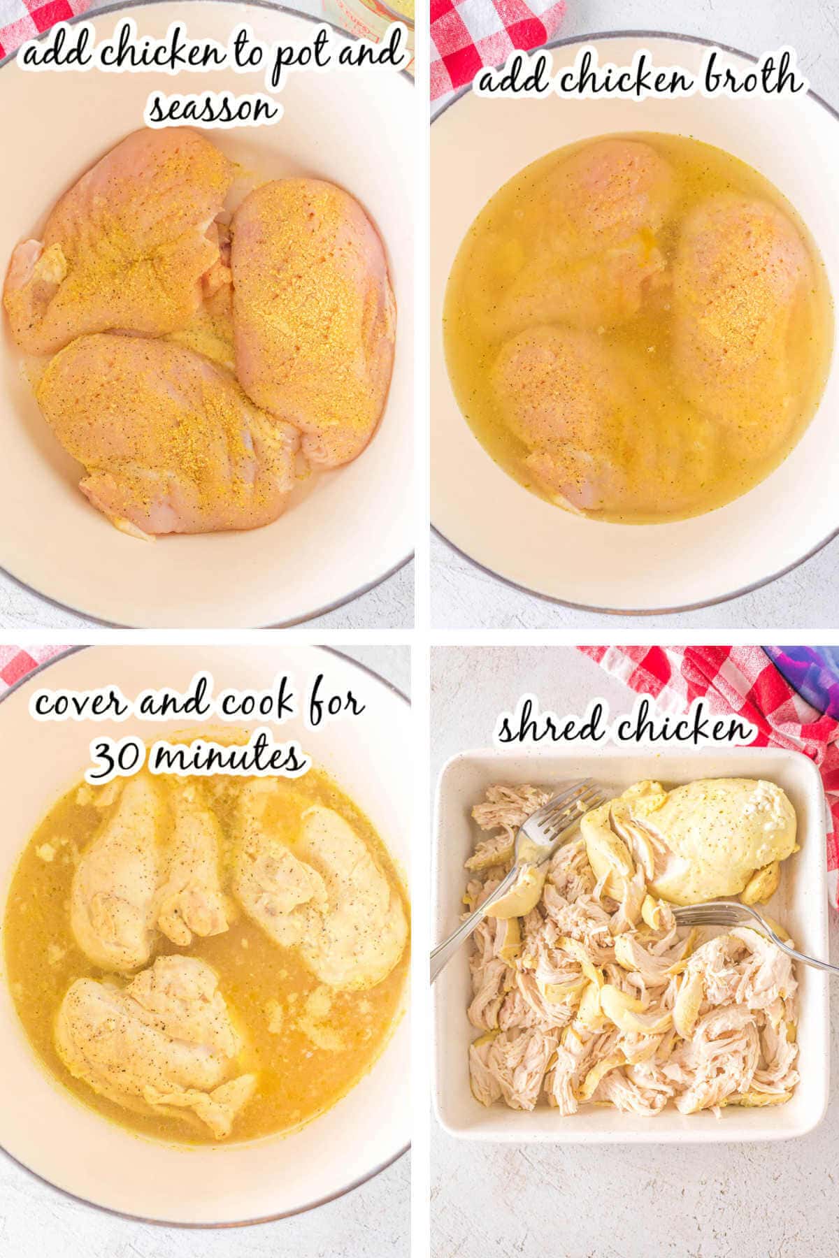 Instructions to make chicken recipe. With print overlay.