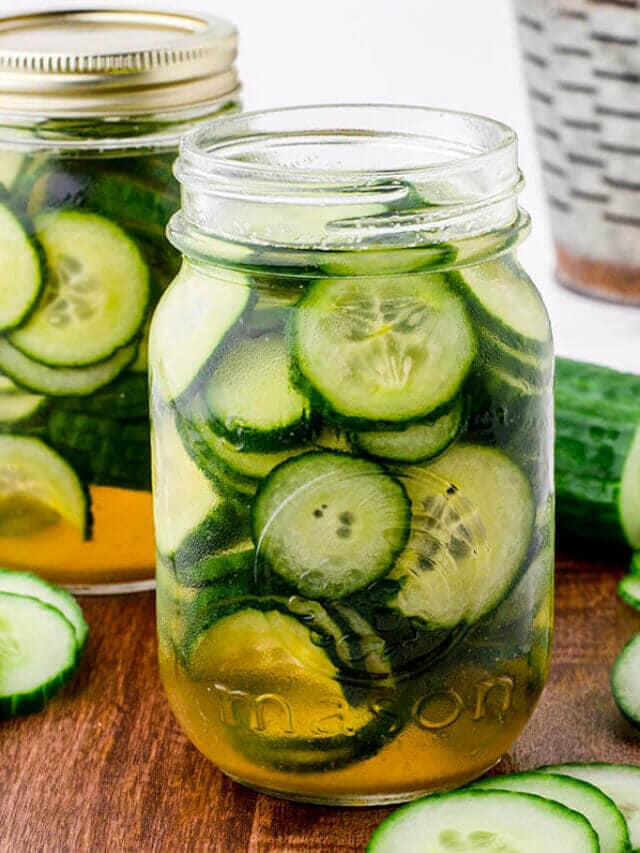 Homemade Refrigerator Pickle Recipe