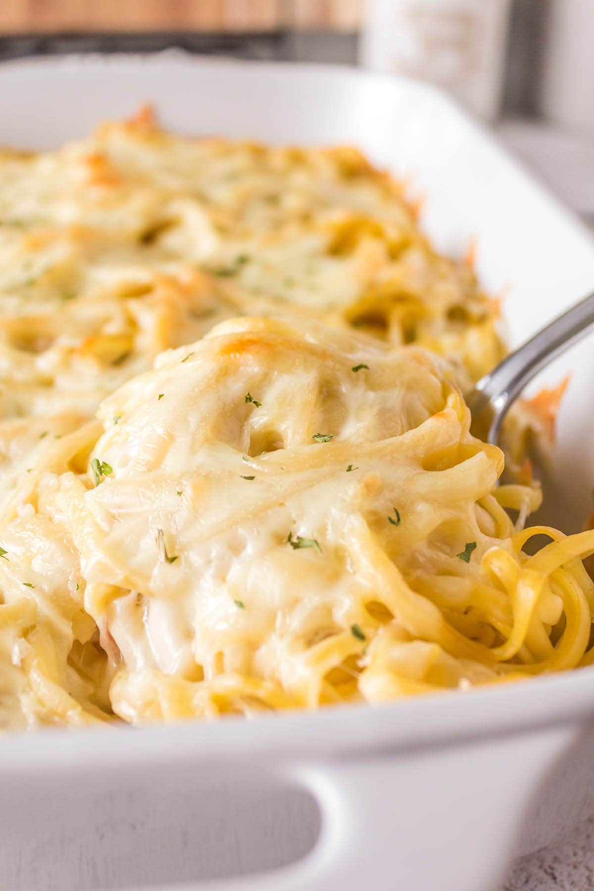 Pasta Casserole in baking dish.