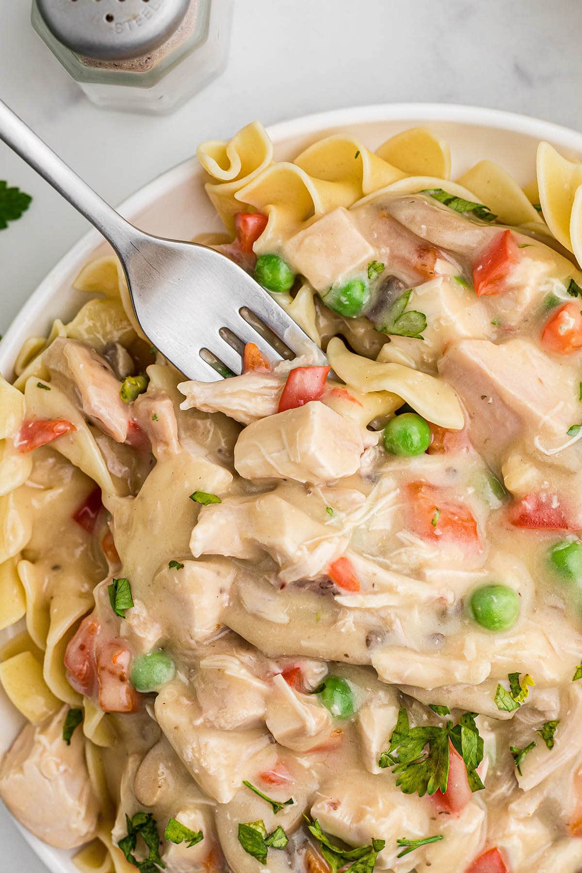 Chicken ala King over noodles on plate with fork.