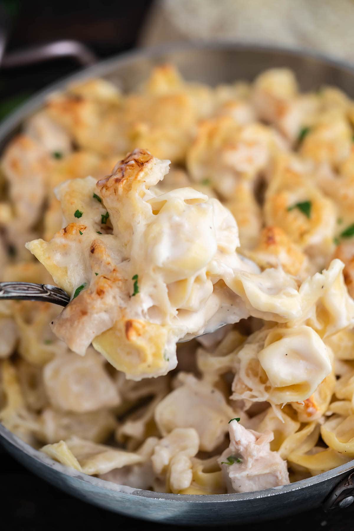 Cheesy Chicken Alfredo in pan with serving spoon.