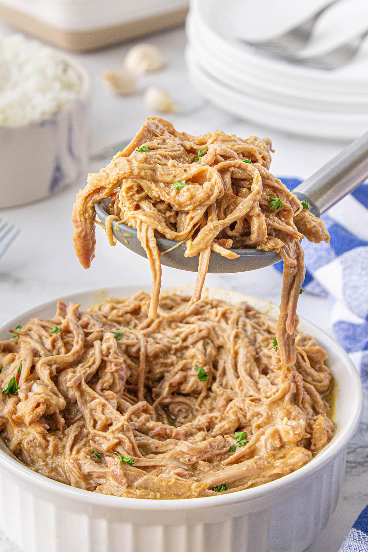 Crock Pot Pork Tender and Gravy in bowl with serving spoon.