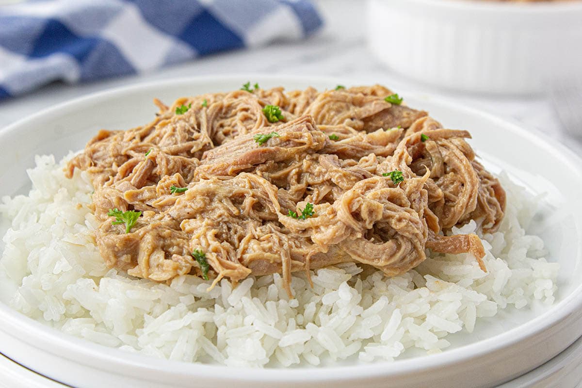 Crock Pot pork tenderloin and gravy over rice.