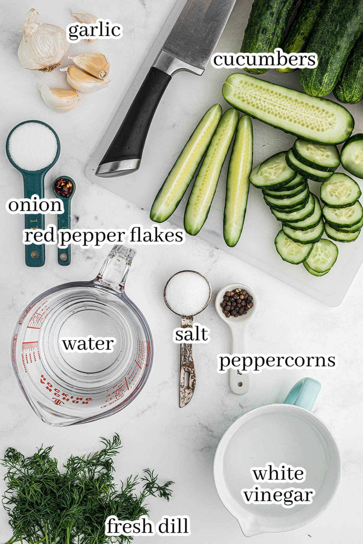 Ingredients to make recipes, with print overlay.