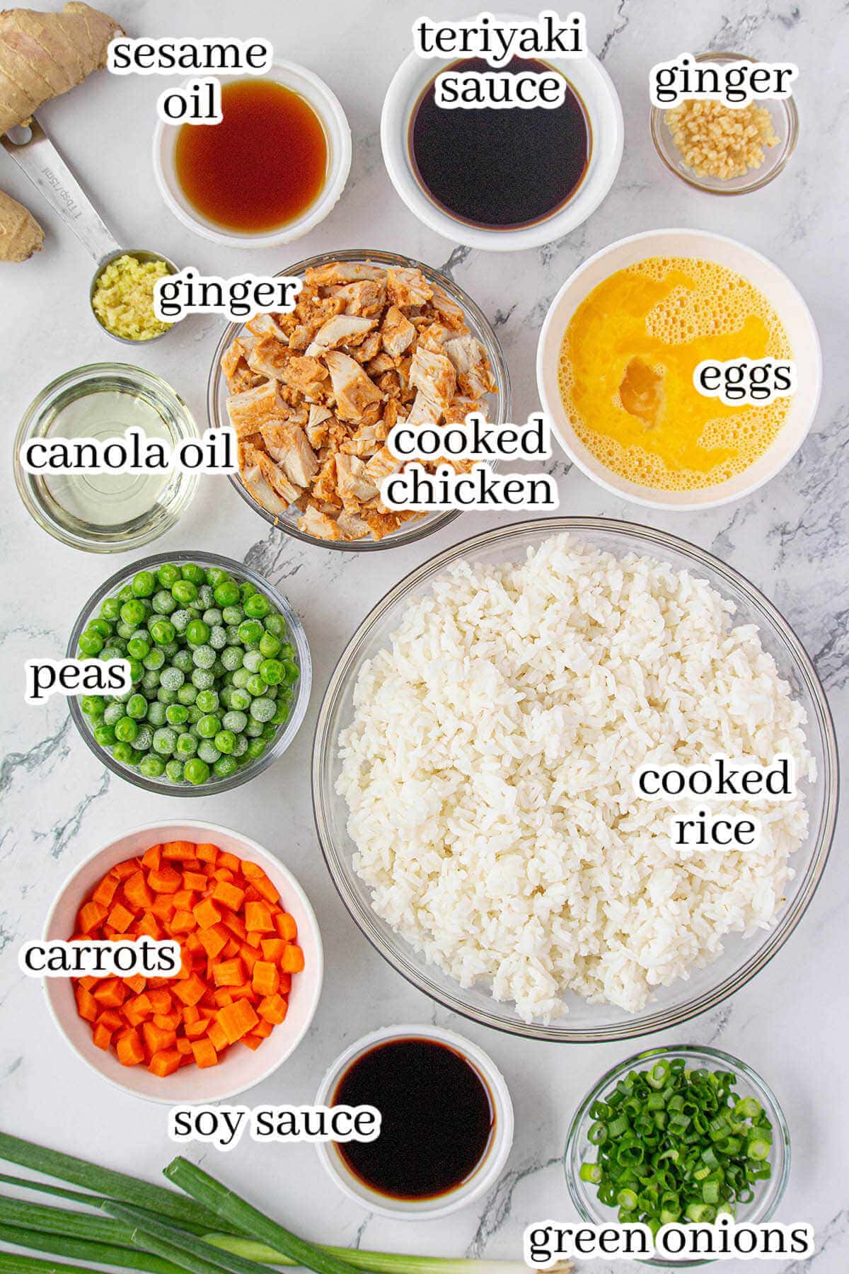 Ingredients to make stir-fry dish, with print overlay.