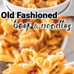 Bowls of saucy beef and noodles. With print overlay.