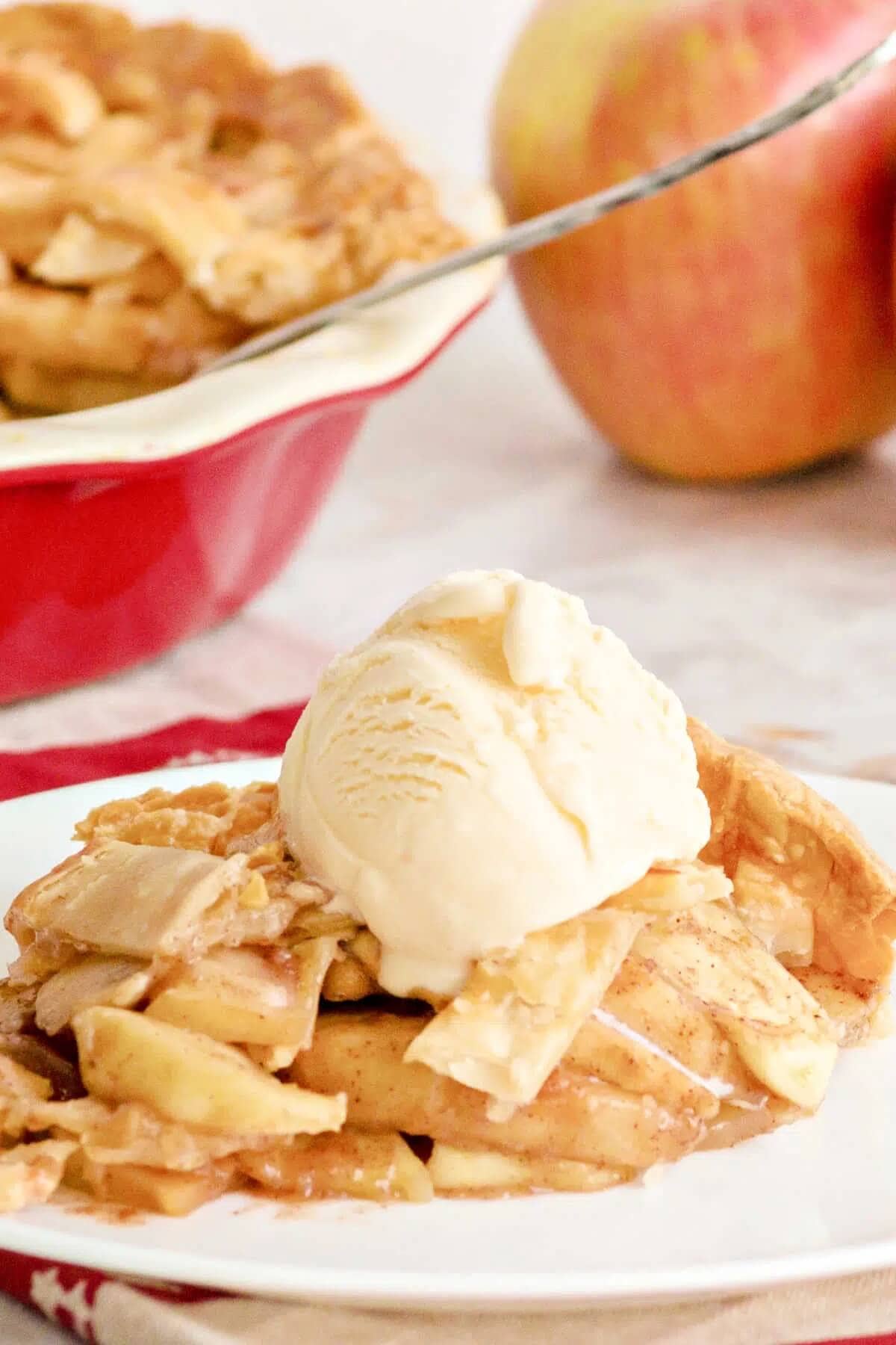 Country apple pie on plate.