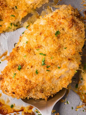 Crunchy Baked Ranch Chicken on sheet pan with serving spatula.