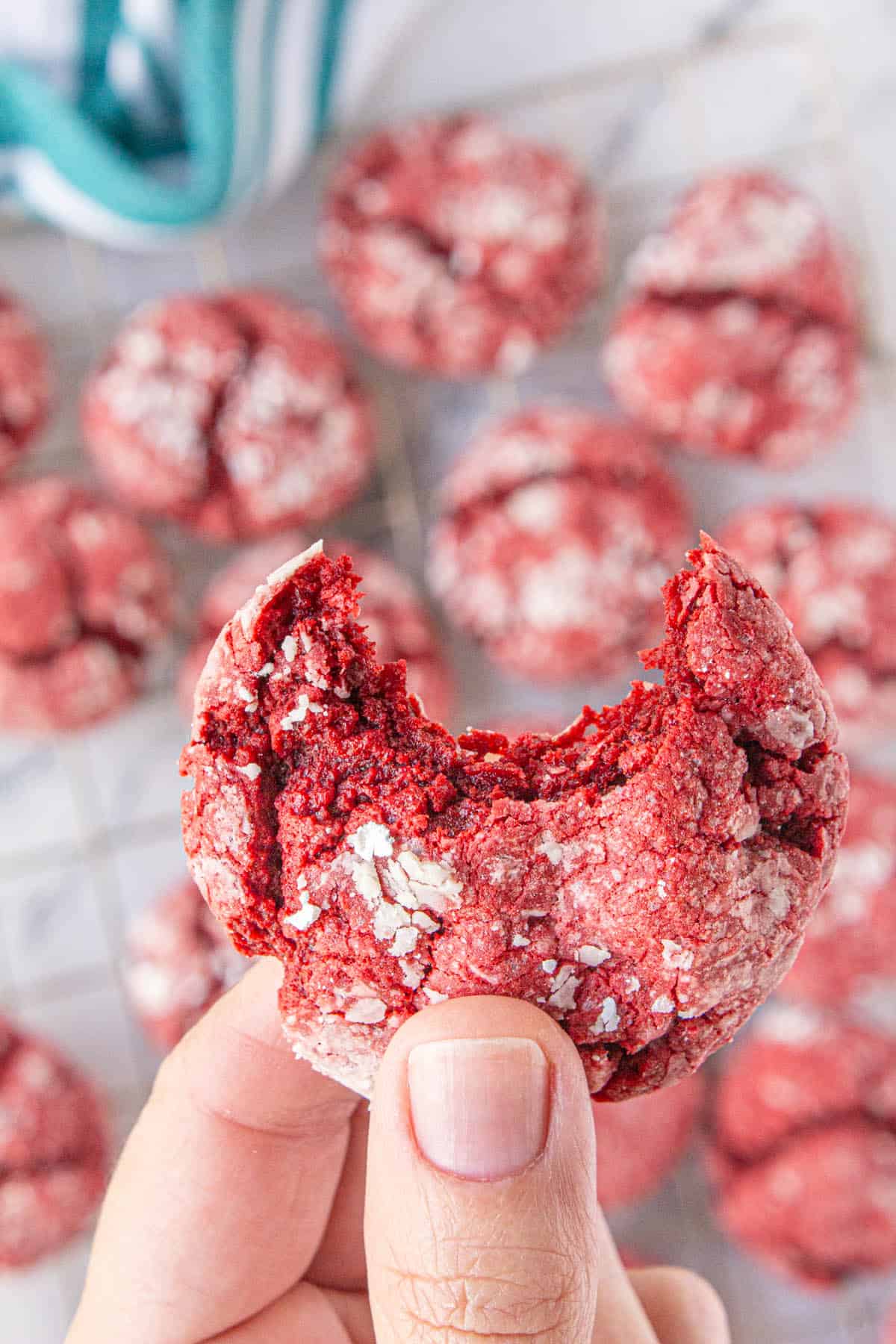 A hand holding a red velvet crinkle cookie that has had a bite taken out of it.