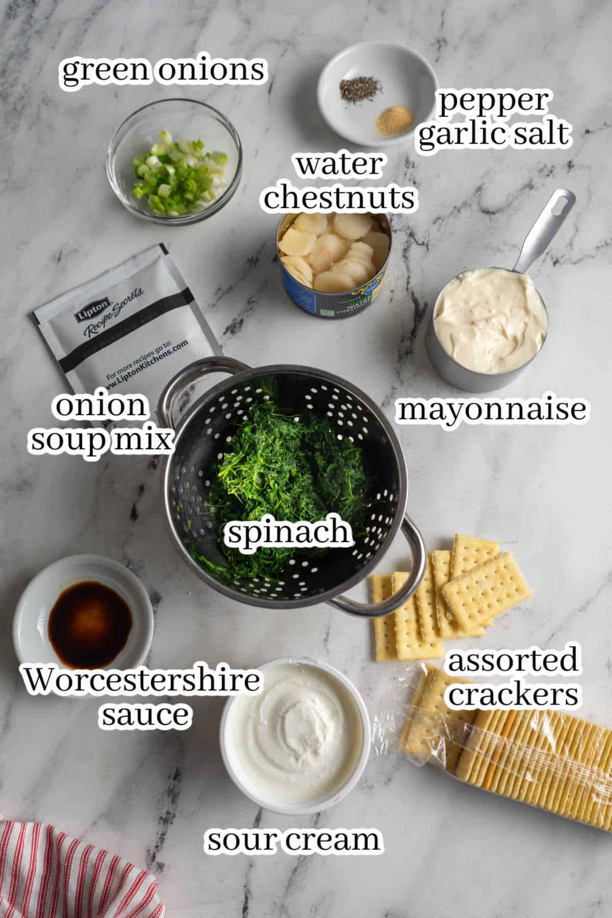 The ingredients needed to make the dip recipe, with print overlay for clarification.