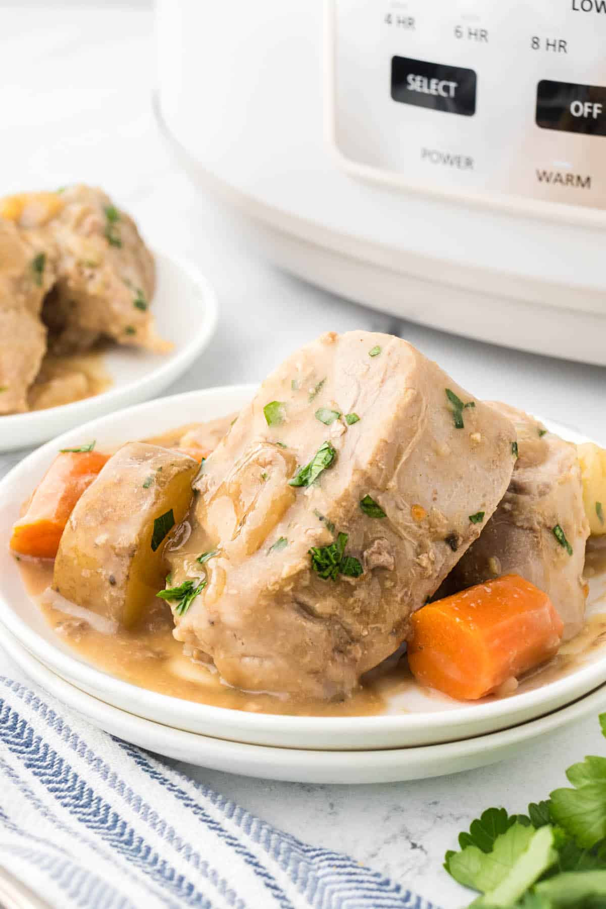 A plate with sliced pork, potatoes and carrots topped with gravy in front of a slow cooker.