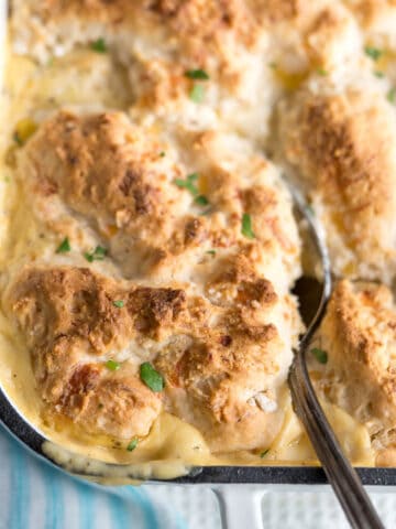 Hot and bubbly Chicken Cobbler in a casserole dish.