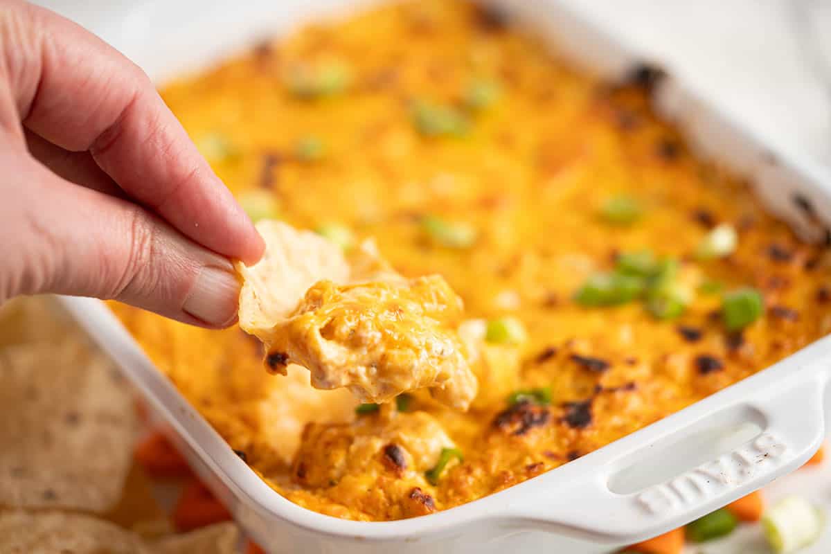 A hand with a chip reaching into a baking dish and scooping up some buffalo chicken dip.