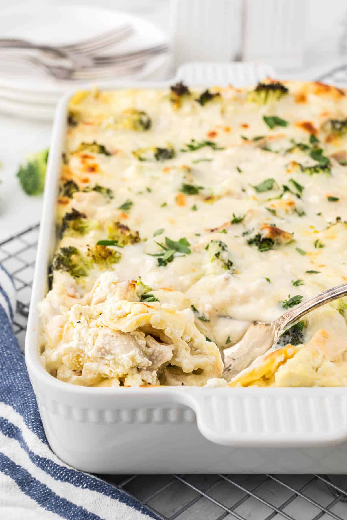 Chicken Alfredo Lasagna in a casserole dish. With a serving spoon scooping up a serving.
