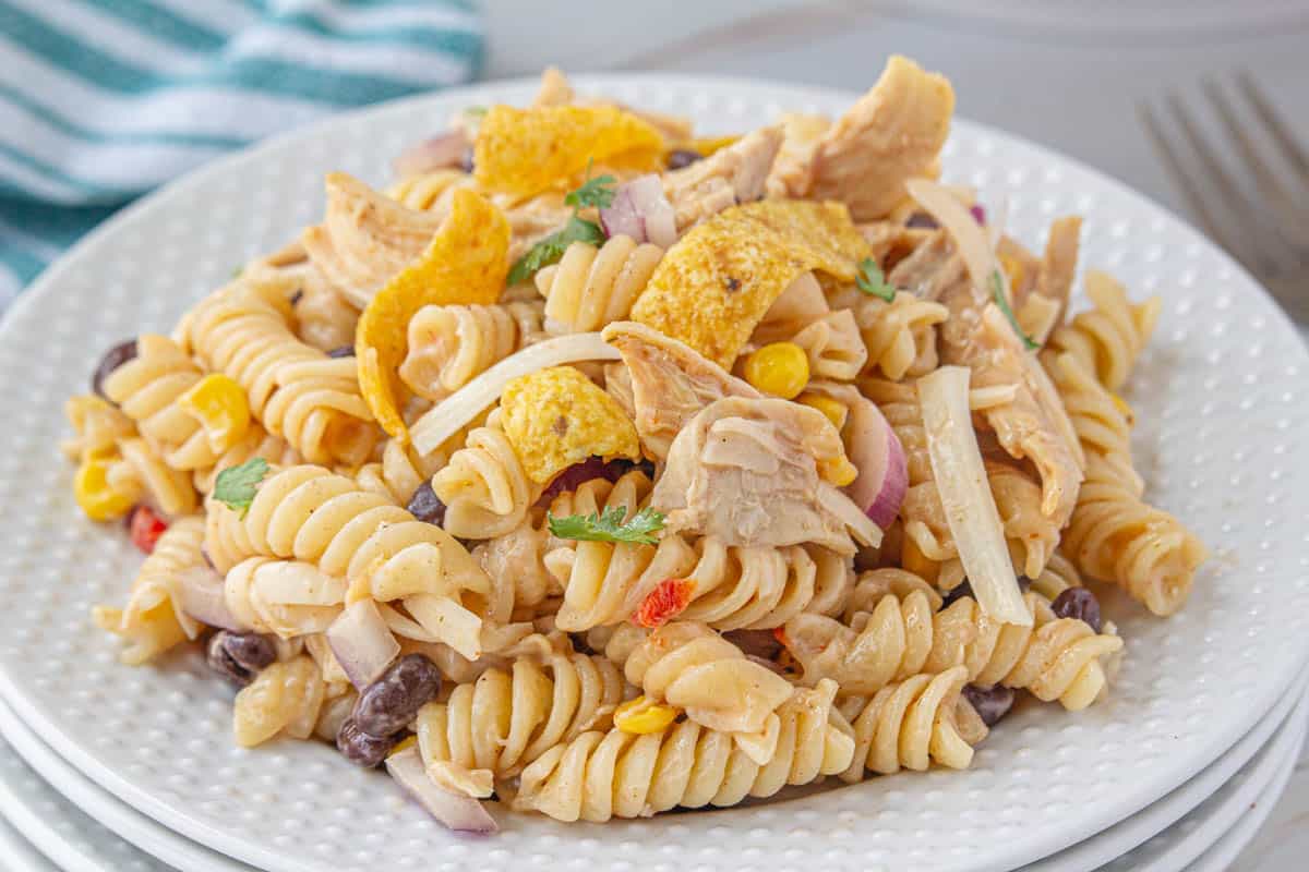 A plate heaped with BBQ Chicken and Pasta Salad.