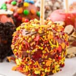 A platter filled with gourmet caramel apples.