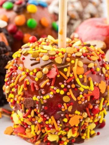 A platter filled with gourmet caramel apples.