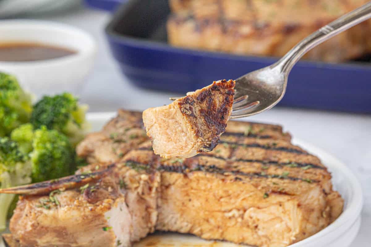 Texas Roadhouse Grilled pork chops on a plate, with a fork that has a bite on it ready to be eaten.