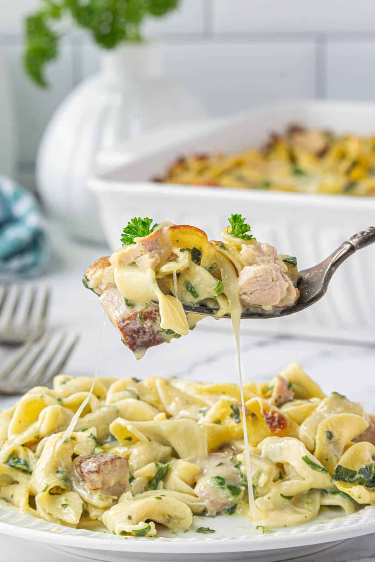 A plate filled with creamy smoked turkey pasta with a fork scooping up a bite.