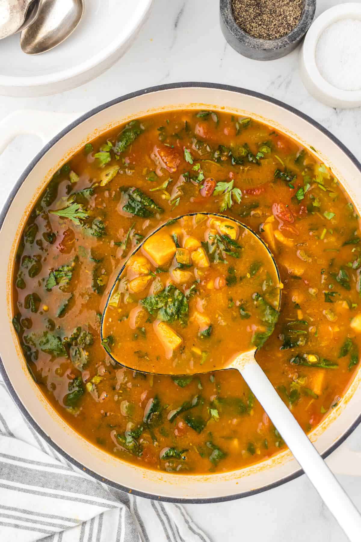 A soup pot filled with gypsy soup, with a ladle for serving.