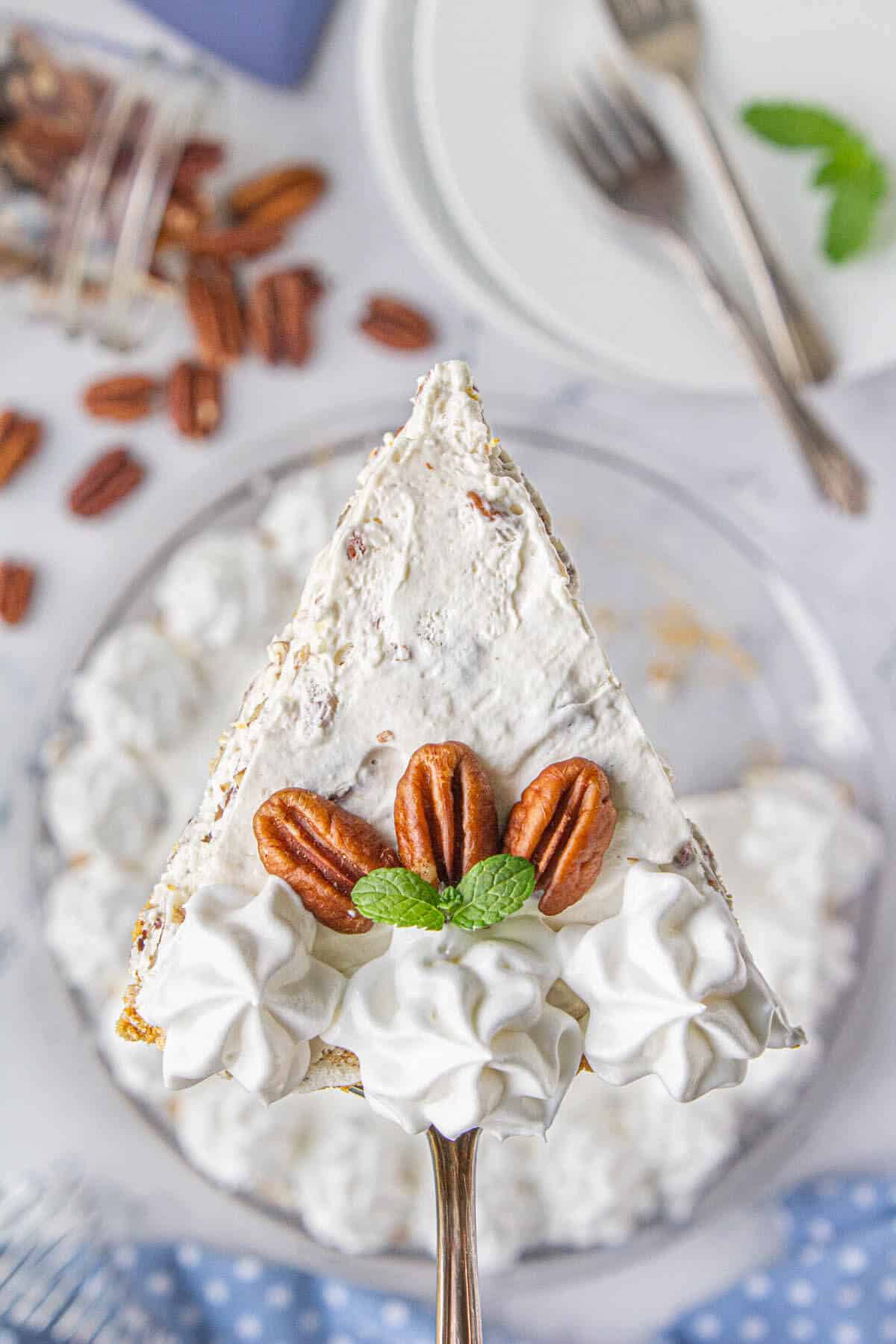 An overhead shot of a slice of pie on a serving spatula.