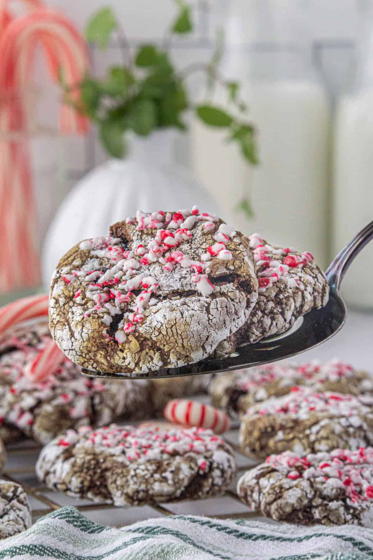 Chocolate cake mix cookies baked and cooling on a rack. The cookies have been topped with crushed peppermint.