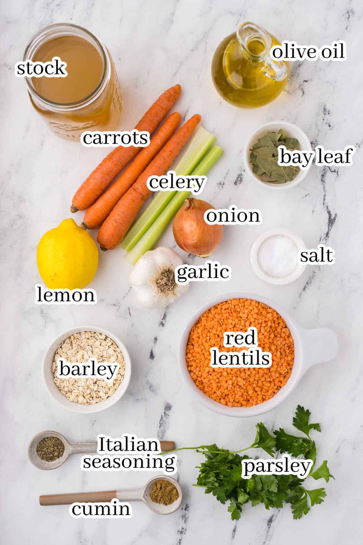 All of the ingredients to make the soup recipe. With print overlay of ingredients for clarification.