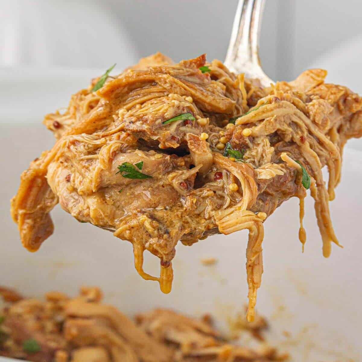 Spoonful of juicy, shredded chicken fresh from the slow cooker, coated in a rich mustard-based sauce.