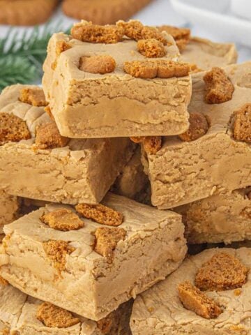 A stack of sliced biscott fudge piled high on a white plate.